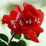 꽃한송이 ㅡ이 미자 노래ㅡ좋은 아침 입니다ㅡ일곱 가지 예쁜 행복ㅡ웃는 얼굴 간직 하세요ㅡ가사 첨부 합니다ㅡ - 영상 가요 팝 방... 