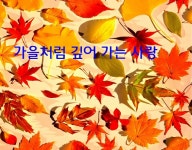 가을 향기와 함께 - ○ 아름다운/이미지 - 서울산이조아 가을 향기와 함께