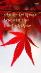 사랑은 장난이 아니랍니다ㅡ나 훈아 노래ㅡ예쁜 가을을 선사 합니다ㅡ환절기 건강 하세요ㅡ - 영상 가요 팝 방 - 서울산이조아 사랑은 장난이... 
