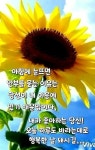 비오는날 아침ㅡ문안 인사 드립니다ㅡ - ○ 아름다운/이미지 - 서울산이조아 비오는날 아침ㅡ문안 인사 드립니다ㅡ