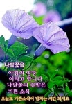 9월 에도기쁘고ㅡ행복할 거라고 ㅡ가을엔 우리ㅡ꽃길만 걸어요ㅡ - ○ 아름다운/이미지 - 서울산이조아 9월 에도기쁘고ㅡ행복할 거라고 ㅡ가을엔... 