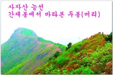 국내여행ㅡ전남 가볼만한곳 BEST 8ㅡ여수 고소천벽화마을ㅡ순천만... 국내여행ㅡ전남 가볼만한곳 BEST 8ㅡ여수 고소천벽화마을ㅡ순천만... 
