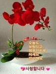 소설 ㅡ첫눈 내리는날 ㅡ이제 본격적인 겨울이 시작됩니다 ㅡ늘 당신께 따뜻한 미소가ㅡ함께 했으면 좋겠읍니다ㅡ - ○ 아름다운/이미지... 