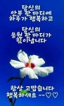 좋은아침ㅡ황금꽃이피어나는 ㅡ금쪽 같은 ㅡ하루 되세요 - ○ 아름다운/이미지 - 서울산이조아 좋은아침ㅡ황금꽃이피어나는 ㅡ금쪽 같은 ㅡ하루... 