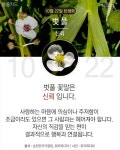 당신이 태어난 날엔ㅡ10월~12월ㅡ무슨 꽃이 피었나요?4 ㅡ태어난 달과... 날엔ㅡ10월~12월ㅡ무슨 꽃이 피었나요?4 ㅡ태어난 달과 날자ㅡ날자별... 
