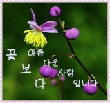 행복이란ㅡ도대체 “행복”이 어떤 것이기에 ㅡ왜 그렇게 많은 돈이ㅡ...  ㅡ그의 대답은 ㅡ“행복하기 위해서”였습니다.ㅡ - 경운아에 사랑방... 