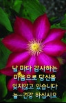 참 좋은 아침 ㅡ - ○ 아름다운/이미지 - 서울산이조아 참 좋은 아침 ㅡ