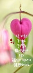 좋은 아침입니다ㅡ가을문턱ㅡ오늘도 당신에게 ㅡ큰 행운과 함께ㅡ - ○ 아름다운/이미지 - 서울산이조아 좋은 아침입니다ㅡ가을문턱ㅡ오늘도... 