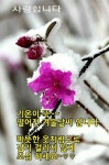 아침인사 이미지글 모음ㅡ - 영상 가요 팝 방 - 서울산이조아 아침인사 이미지글 모음ㅡ