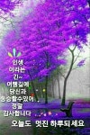 오늘도 좋은 하루 되세요 - ○ 아름다운/이미지 - 서울산이조아 오늘도 좋은 하루 되세요