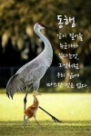 동행ㅡ같이 걸어줄 누군가가ㅡ있다는것 그것처럼ㅡ우리 삶에 따스한 것은 업다ㅡ - ○ 아름다운/이미지 - 서울산이조아 동행ㅡ같이 걸어줄... 