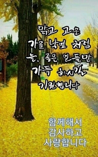 참 좋은 아침 ㅡ -  아름다운/이미지 - 서울산이조아 참 좋은 아침 ㅡ