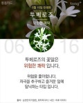 당신이 태어난 날엔ㅡ4월 ~6월ㅡ무슨 꽃이 피었나요?2ㅡ 태어난달과... 날엔ㅡ4월 ~6월ㅡ무슨 꽃이 피었나요?2ㅡ 태어난달과 날자ㅡ날자별 탄생화...