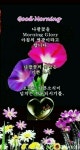 황금이 피어나는ㅡ금쪽 같은날 되세요 ㅡ - ○ 아름다운/이미지 - 서울산이조아 황금이 피어나는ㅡ금쪽 같은날 되세요 ㅡ
