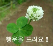 8월에도 행복 합니다ㅡ - ○ 아름다운/이미지 - 서울산이조아 8월에도 행복 합니다ㅡ