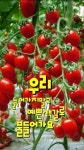 한번뿐인 소중한 오늘ㅡ행복한 삶이ㅡ한페이지가 되시길ㅡ멋지게... 오늘ㅡ행복한 삶이ㅡ한페이지가 되시길ㅡ멋지게 웃으면서 시작 하세요ㅡ