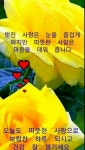 아무리 백세를 살아도ㅡ건강이 없으면 괴로운 ㅡ삶이 됩니다ㅡ아름다운 꽃 이미지ㅡ - ○ 아름다운/이미지 - 서울산이조아 아무리 백세를... 