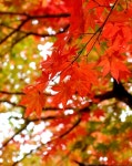 우야 대박 명당 | 대박의꿈ㅡ로또 명당 - ○ 아름다운/이미지 - 서울산이조아 대박의꿈ㅡ로또 명당