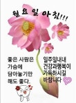 한주의 시작ㅡ월요일ㅡ항상 행운을 ㅡ당신께드립니다ㅡ - ○ 아름다운/이미지 - 서울산이조아 한주의 시작ㅡ월요일ㅡ항상 행운을...