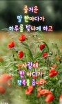 묻지마세요ㅡ김성환 노래ㅡ아름다운 꽃영상ㅡ좋은글 입니다ㅡ - 영상... 묻지마세요ㅡ김성환 노래ㅡ아름다운 꽃영상ㅡ좋은글 입니다ㅡ