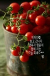 하나씩 즐거운 일을 만들어라ㅡ하루가 - 경운아에 사랑방... 살고 누우면 죽는다ㅡ하루에 하나씩 즐거운 일을 만들어라ㅡ하루가 