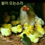사랑찾아 인생찾아ㅡ 조항조 ㅡ불곡산 산행이미지ㅡ - 영상 가요 팝 방 - 서울산이조아 사랑찾아 인생찾아ㅡ 조항조 ㅡ불곡산 산행이미지ㅡ