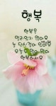 좋은아침ㅡ황금꽃이피어나는 ㅡ금쪽 같은 ㅡ하루 되세요 - ○ 아름다운/이미지 - 서울산이조아 좋은아침ㅡ황금꽃이피어나는 ㅡ금쪽 같은 ㅡ하루... 