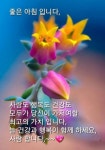 인생소풍ㅡ나훈아 노래ㅡ아름다운 꽃ㅡ가사첨부 - 영상 가요 팝 방 - 서울산이조아 인생소풍ㅡ나훈아 노래ㅡ아름다운 꽃ㅡ가사첨부