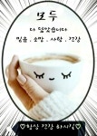 백두산 서파천지ㅡ고산화원 왕지 산행ㅡ백두산 북파천지ㅡ 장백 폭포 산행ㅡ백두산 여행ㅡ 광개토왕비ㆍ릉 여행ㅡ지금은 가지 못하는 백두산... 