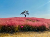 우야 대박 명당 | 대박의꿈ㅡ로또 명당 - ○ 아름다운/이미지 - 서울산이조아 대박의꿈ㅡ로또 명당
