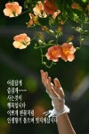 오늘도 좋은 하루 되세요 - ○ 아름다운/이미지 - 서울산이조아 오늘도 좋은 하루 되세요