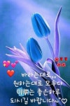 목포행 완행 열차ㅡ뚜엣곡ㅡ산에 오르는 영상ㅡ세계의 아름다운 폭포영상ㅡ - 영상 가요 팝 방 - 서울산이조아 목포행 완행 열차ㅡ뚜엣곡ㅡ산에... 