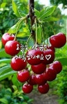 6월한달 수고 하셨읍니다ㅡ행복한 7월 기대합니다ㅡ - ○ 아름다운/이미지 - 서울산이조아 6월한달 수고 하셨읍니다ㅡ행복한 7월 기대합니다ㅡ