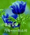 자작시ㅡ유월의 작은 아씨들ㅡ청미 장하영 - 시ㅡ어람 장하영 - 서울산이조아 자작시ㅡ유월의 작은 아씨들ㅡ청미 장하영