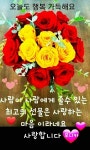 봄 향기 가득ㅡ행복을 드립니다ㅡ화엄사 홍매화 ㅡ - ○ 아름다운/이미지 - 서울산이조아 봄 향기 가득ㅡ행복을 드립니다ㅡ화엄사 홍매화 ㅡ