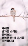 팝 방 - 서울산이조아 우연히 만난여자 ㅡ박 진석 노래 ㅡ이기면 왕 ㅡ지면 역적ㅡ새해엔 즐거운 소식만 ㅡ들려오는 행복한 해 이기늘 기원합니다ㅡ