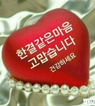 영원한사랑 ㅡ뱃고동소리 에헤라 가보자 ㅡ 노적봉 사랑ㅡ처녀농군ㅡ애가ㅡ금 소연 노래 모음 - ○ 개인사진/자랑방 - 서울산이조아 영원한사랑... 