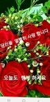 숨어우는 바람소리ㅡ이정옥노래ㅡ나를 미소짓게 한 당신ㅡ내가 당신을 사랑 합니다ㅡ - 영상 가요 팝 방 - 서울산이조아 숨어우는... 