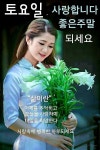 토요일ㅡ사랑합니다ㅡ좋은 주말 되세요ㅡ사랑속에 행복한 하루되세요ㅡ - ○ 아름다운/이미지 - 서울산이조아 토요일ㅡ사랑합니다ㅡ좋은 주말... 