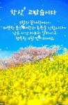 강촌에살고싶네ㅡ경음악ㅡ살아있는 행복ㅡ좋은글 입니다ㅡ - 영상 가요 팝 방 - 서울산이조아 강촌에살고싶네ㅡ경음악ㅡ살아있는 행복ㅡ좋은글... 