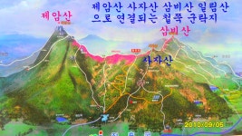 국내여행ㅡ전남 가볼만한곳 BEST 8ㅡ여수 고소천벽화마을ㅡ순천만... 국내여행ㅡ전남 가볼만한곳 BEST 8ㅡ여수 고소천벽화마을ㅡ순천만... 
