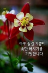 한번뿐인 소중한 오늘ㅡ행복한 삶이ㅡ한페이지가 되시길ㅡ멋지게... 오늘ㅡ행복한 삶이ㅡ한페이지가 되시길ㅡ멋지게 웃으면서 시작 하세요ㅡ
