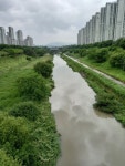 외로진료 예약ㅡ아산병원 가는길ㅡ - 경운아에 사랑방 - 서울산이조아 외로진료 예약ㅡ아산병원 가는길ㅡ