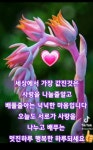 낙화유수ㅡ이 미자노래ㅡ아름다운 풍경ㅡ좋은글 영상입니다ㅡ - 영상... 낙화유수ㅡ이 미자노래ㅡ아름다운 풍경ㅡ좋은글 영상입니다ㅡ