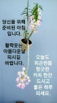 좋은아침ㅡ황금꽃이피어나는 ㅡ금쪽 같은 ㅡ하루 되세요 - ○ 아름다운... 서울산이조아 좋은아침ㅡ황금꽃이피어나는 ㅡ금쪽 같은 ㅡ하루 되세요
