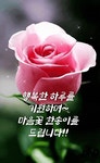 봄이오는길ㅡ당신의 행복도 함께 옵니다ㅡ아름다운 봄꽃 이미지ㅡ - ○ 아름다운/이미지 - 서울산이조아 봄이오는길ㅡ당신의 행복도 함께... 
