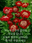 토요일ㅡ사랑합니다ㅡ좋은 주말 되세요ㅡ사랑속에 행복한 하루되세요ㅡ - ○ 아름다운/이미지 - 서울산이조아 토요일ㅡ사랑합니다ㅡ좋은 주말... 