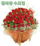 모르고ㅡ나 훈아노래ㅡ 나 훈아 이미지 꽃 이미지ㅡ가사첨부ㅡ - 영상 가요 팝 방 - 서울산이조아 모르고ㅡ나 훈아노래ㅡ 나 훈아 이미지 꽃... 