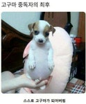 요즈음 스마트폰 기기 ㅡ - 경운아에 사랑방 - 서울산이조아 5G가 무엇인가ㅡ많은 사람들이 4G, 5G 를ㅡ 컴퓨터의 메모리 또는ㅡ 파일... 