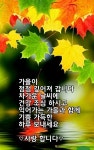 11월의 첫날 ㅡ11월의 행복을 기원 합니다 ㅡ다시한번 생각 해줘요 ㅡ김 수희노래ㅡ아름 다운 단풍 영상 ㅡ 당신은 소중한 인연 입니다ㅡ - 영상... 